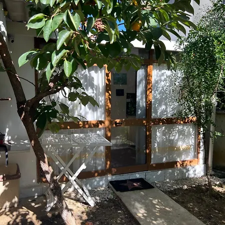 Studio Tirana Тирана